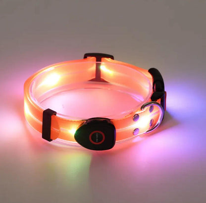 Rechargeable LED Pet Collar with Nylon Leash - MANDOTOS