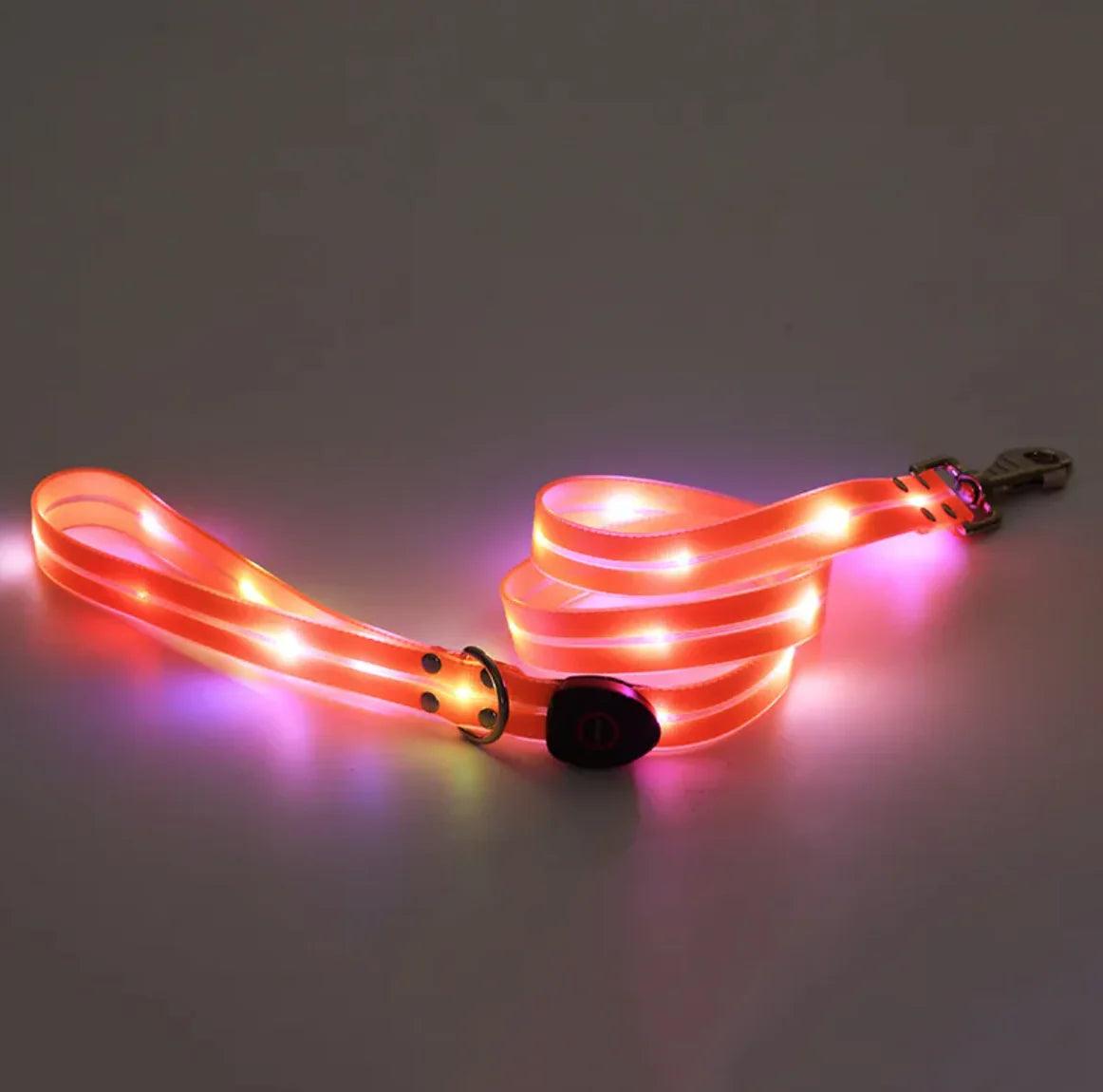 Rechargeable LED Pet Collar with Nylon Leash - MANDOTOS