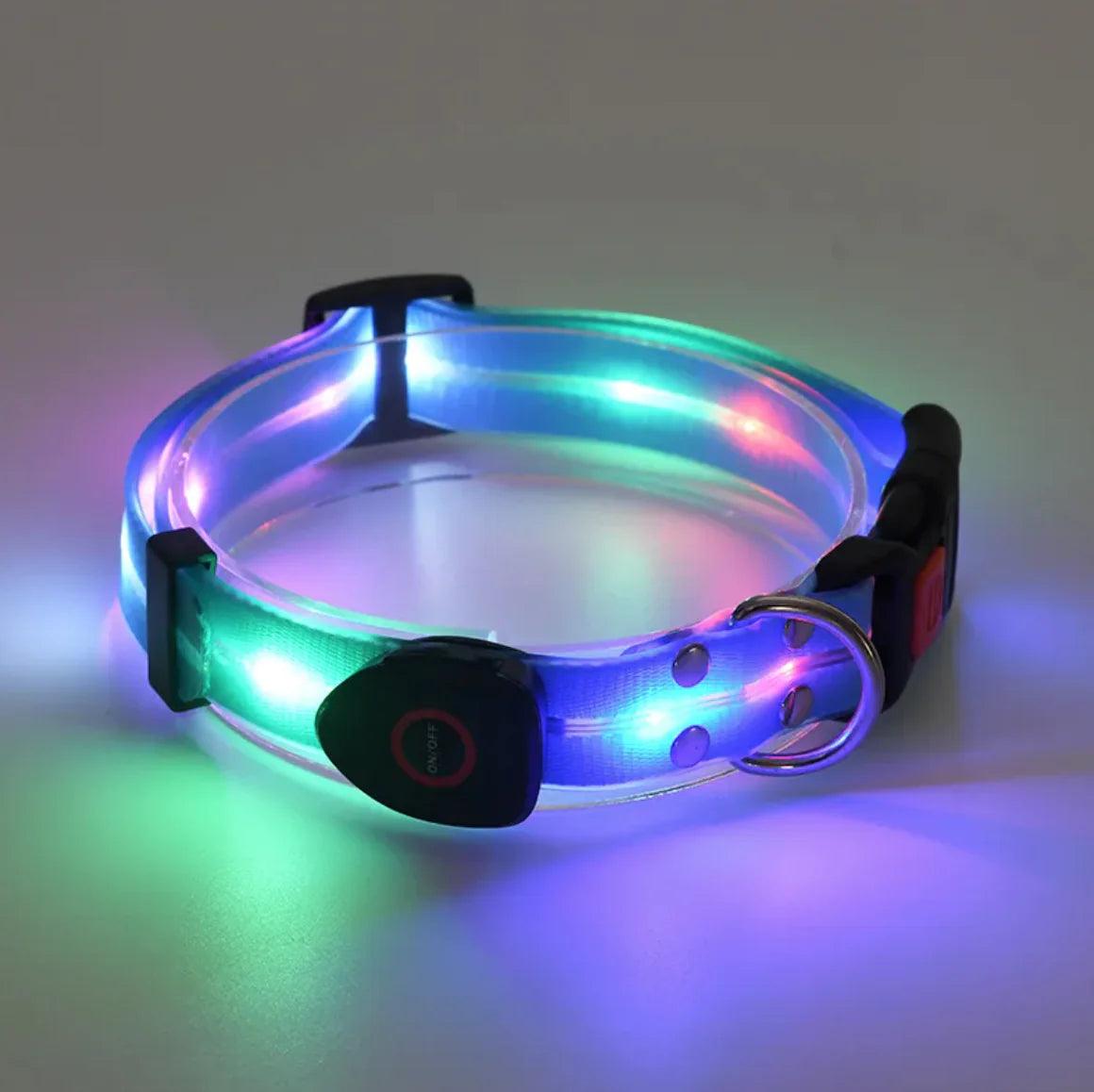 Rechargeable LED Pet Collar with Nylon Leash - MANDOTOS