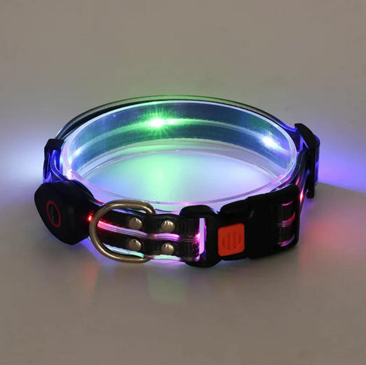 Rechargeable LED Pet Collar with Nylon Leash - MANDOTOS
