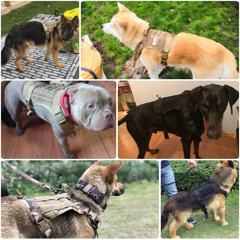 Tactical Control Dog Harness with Leash - MANDOTOS