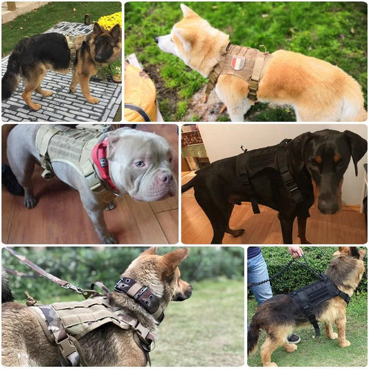 Tactical Control Dog Harness with Leash - MANDOTOS