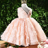 Pink floral lace princess dress with gold crown, perfect for kids' parties and special occasions