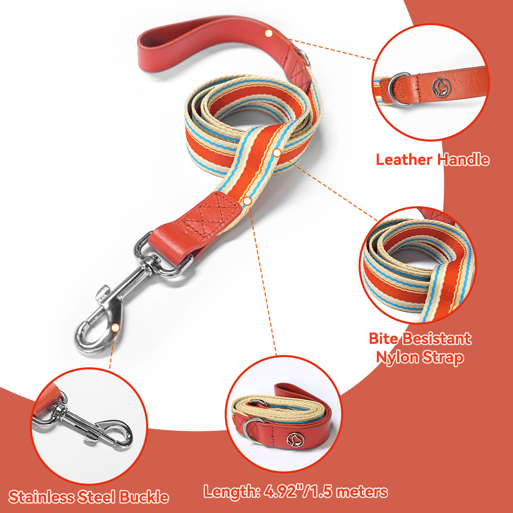 Adjustable Dog Collar and Leash Set - Perfect Fit for All Breeds - MANDOTOS