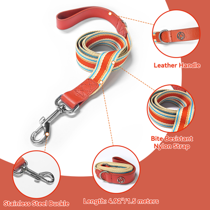 Adjustable Dog Collar and Leash Set - Perfect Fit for All Breeds - MANDOTOS