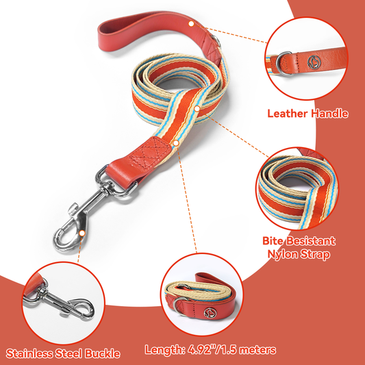 Adjustable Dog Collar and Leash Set - Perfect Fit for All Breeds - MANDOTOS