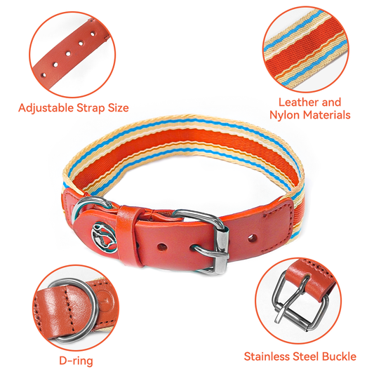 Adjustable Dog Collar and Leash Set - Perfect Fit for All Breeds - MANDOTOS