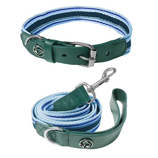 Adjustable Dog Collar and Leash Set - Perfect Fit for All Breeds - MANDOTOS