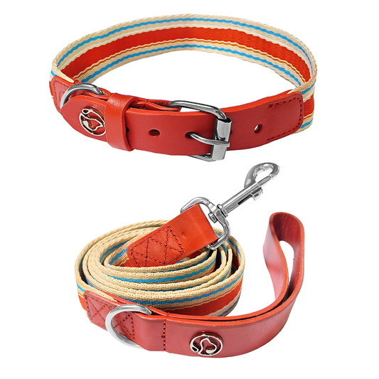 Adjustable Dog Collar and Leash Set - Perfect Fit for All Breeds - MANDOTOS