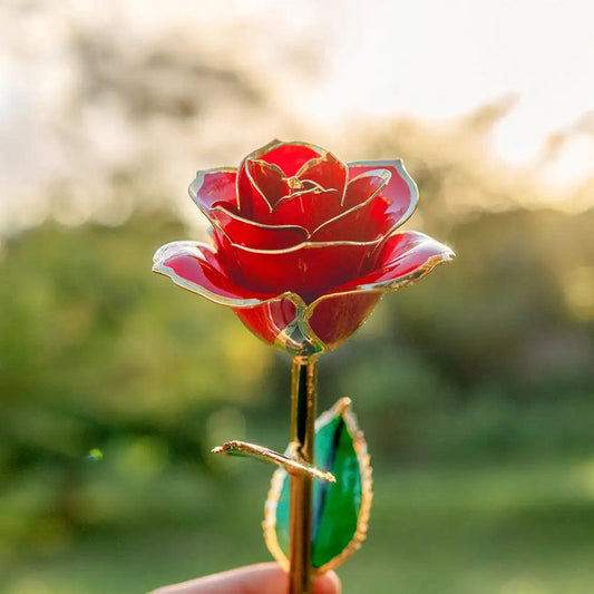 24K Gold Plated Rose Gift - MANDOTOS