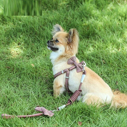 "Small And Medium-sized Leash Pet Dog Supplies - MANDOTOS"