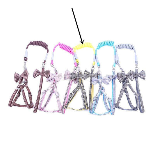 "Small And Medium-sized Leash Pet Dog Supplies - MANDOTOS"