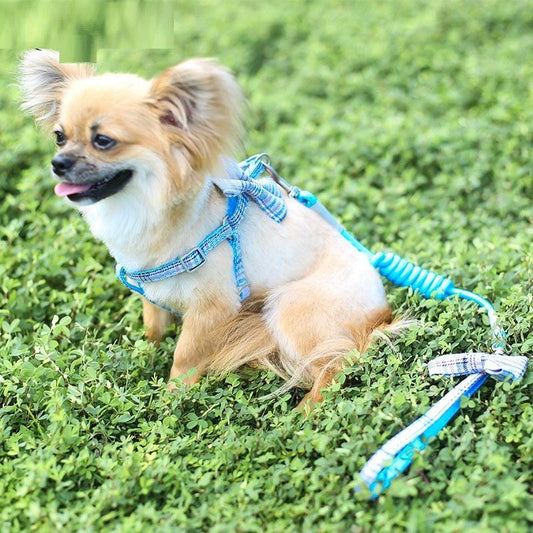 "Small And Medium-sized Leash Pet Dog Supplies - MANDOTOS"