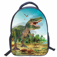 Ancient Energy primary school kindergarten backpack with lightweight shoulder straps and colorful design for young children.