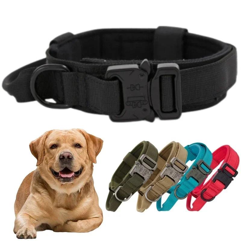 Rugged Canine Control Collar Set - MANDOTOS