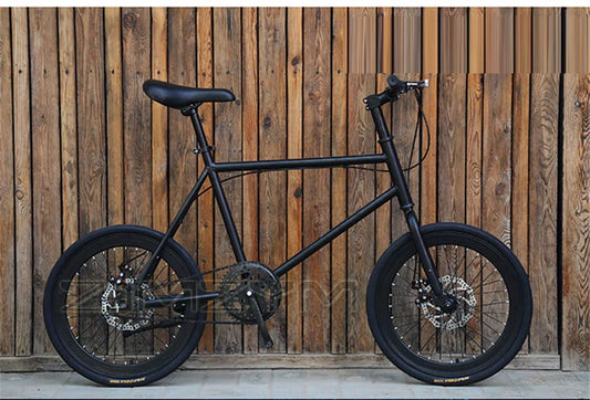 20 Inch Bike Single Speed Fixie Bike Double Dsic Brake Bicycle Freewheel Frame Mini Bicycle Height Adjustable 75-90cm