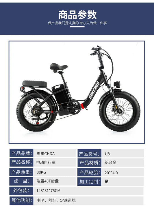 Commuter electric bicycle adult double riding removable battery long battery life wide fat tire