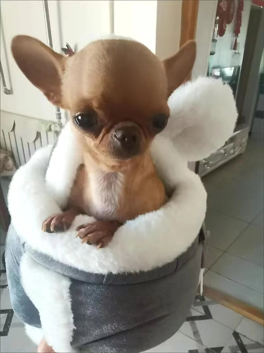 Outdoor Travel Chihuahua Puppy Dog Carrier Bacpack Winter Warm Pet Carrying Bags for Small Dogs Yorkshire Cat Nest mascotas Home - MANDOTOS