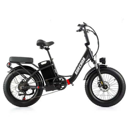 Commuter electric bicycle adult double riding removable battery long battery life wide fat tire