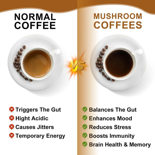 Mushroom Coffee 10 Mushroom Extract - Lion's Mane, Cordyceps, Reishi, Turkey Tail, Chaga, Maitake for energy and immune support - MANDOTOS