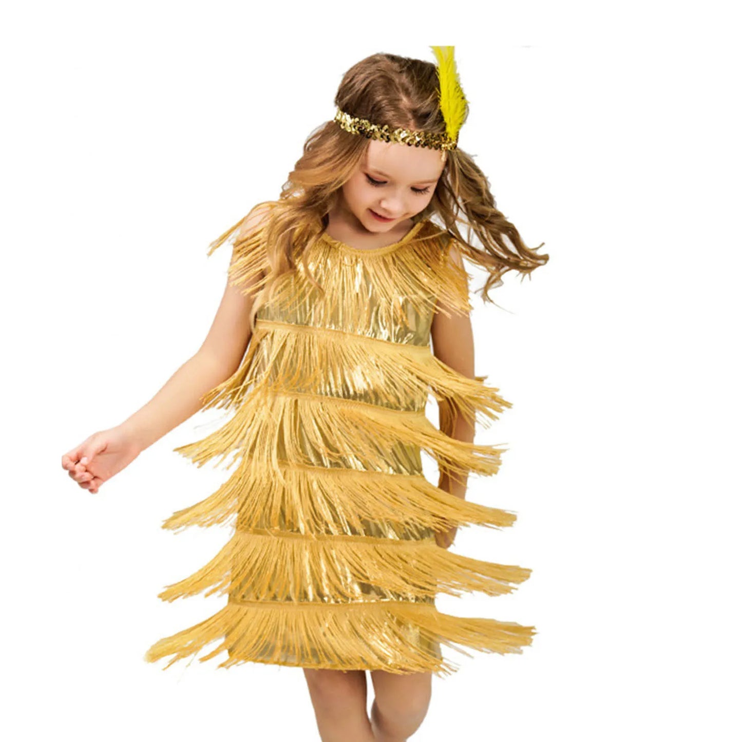 Girl Party Dress Girls Flapper Dress Carnival Sequins Fringe Latin Dance Dress Tassel Tango Dress Ballroom Costume With Feather