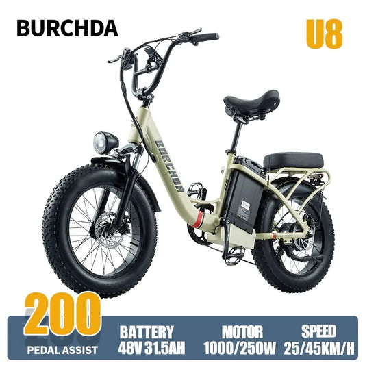 Commuter electric bicycle adult double riding removable battery long battery life wide fat tire