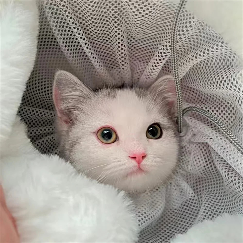 Outdoor Travel Chihuahua Puppy Dog Carrier Bacpack Winter Warm Pet Carrying Bags for Small Dogs Yorkshire Cat Nest mascotas Home - MANDOTOS