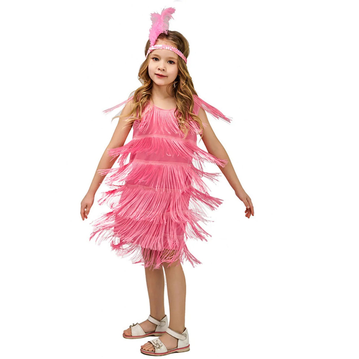 Girl Party Dress Girls Flapper Dress Carnival Sequins Fringe Latin Dance Dress Tassel Tango Dress Ballroom Costume With Feather