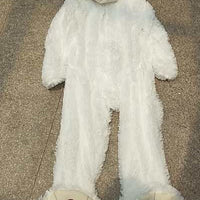 Realistic plush bear toy by Ancient Energy, soft, safe, and charming with detailed fur and friendly expression.