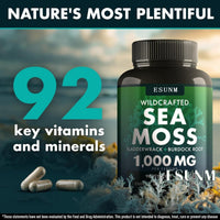 Ancient Energy Seaweed Compound Vitamin Capsules in a bottle, showing the supplement packaging and capsules inside.