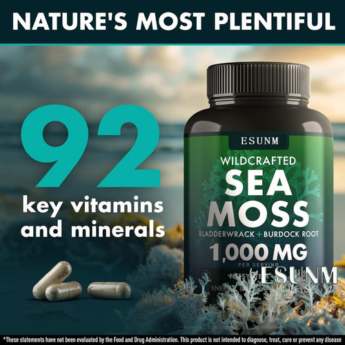 Ancient Energy Seaweed Compound Vitamin Capsules in a bottle, showing the supplement packaging and capsules inside.