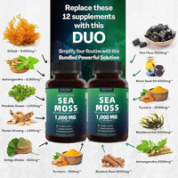 Ancient Energy Seaweed Compound Vitamin Capsules in a clear bottle, showcasing small green capsules for dietary supplement use.