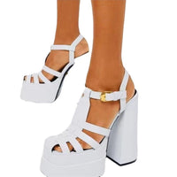 Ancient Energy summer thick heels high heels with fish mouth design, stylish footwear for Europe and the US fashion trends.
