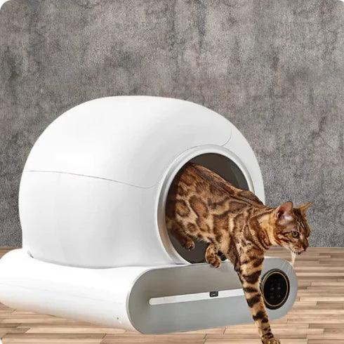 AutoClean Cat Litter Box - MANDOTOS