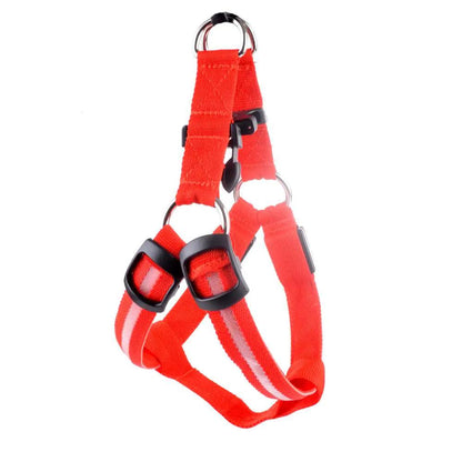 Bright Night Pet LED Harness - MANDOTOS