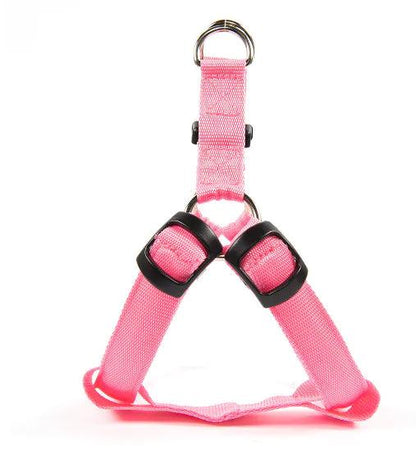 Bright Night Pet LED Harness - MANDOTOS