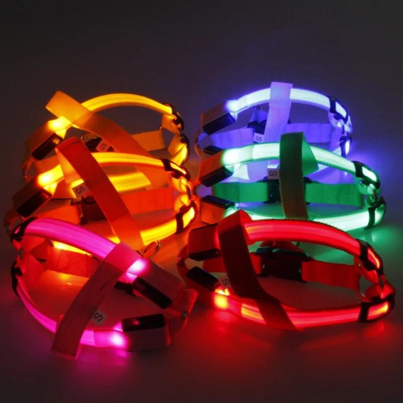 Bright Night Pet LED Harness - MANDOTOS