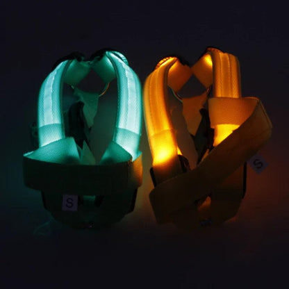 Bright Night Pet LED Harness - MANDOTOS