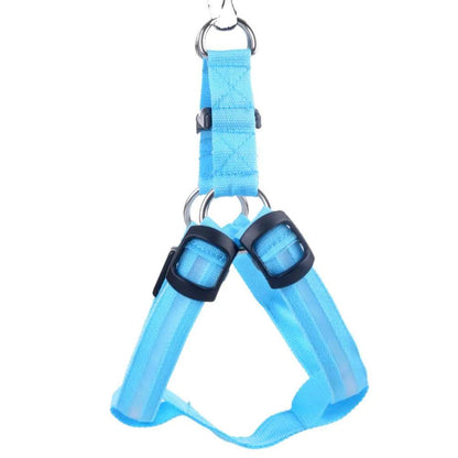 Bright Night Pet LED Harness - MANDOTOS