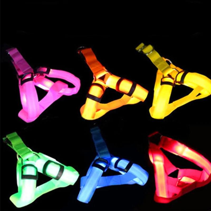 Bright Night Pet LED Harness - MANDOTOS