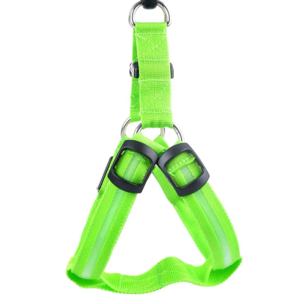 Bright Night Pet LED Harness - MANDOTOS
