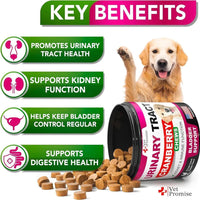 Cranberry Dog UTI & Bladder Control Chews - MANDOTOS