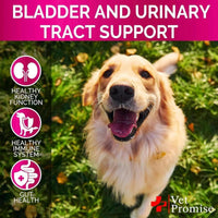 Cranberry Dog UTI & Bladder Control Chews - MANDOTOS