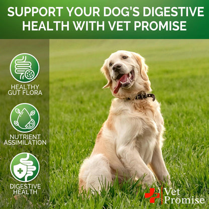 Digestive Health Probiotics Chews for Dogs 120 Count - MANDOTOS