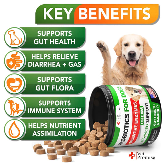 Digestive Health Probiotics Chews for Dogs 120 Count - MANDOTOS