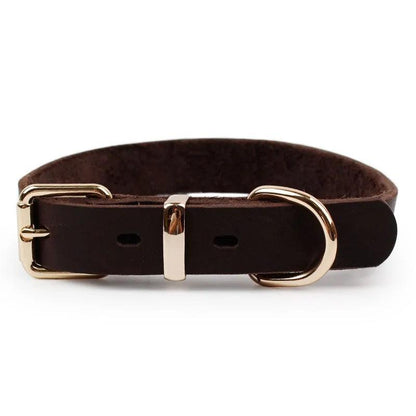 Elegant Leather Pet Collar - MANDOTOS