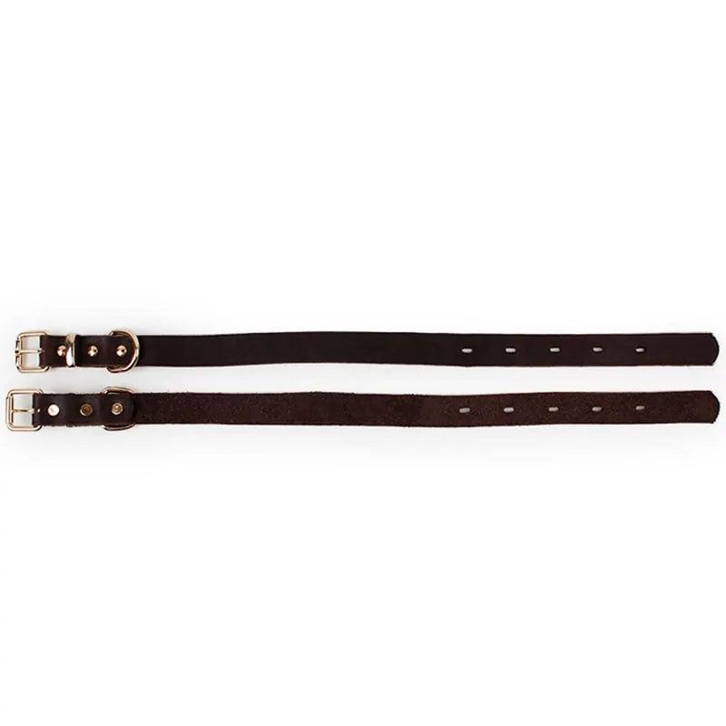 Elegant Leather Pet Collar - MANDOTOS