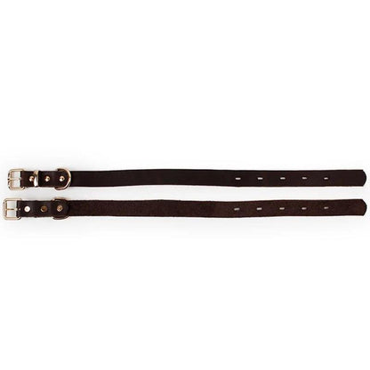 Elegant Leather Pet Collar - MANDOTOS