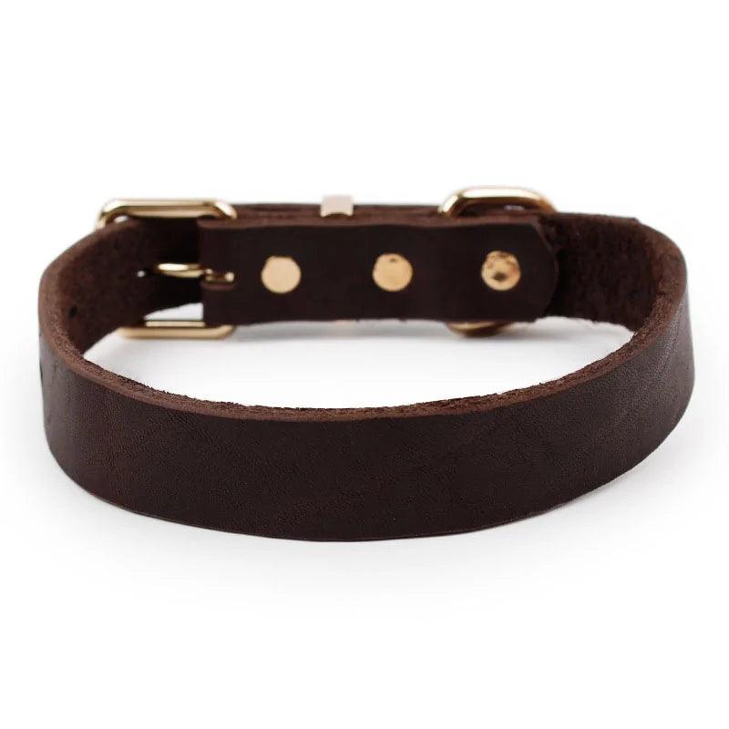 Elegant Leather Pet Collar - MANDOTOS