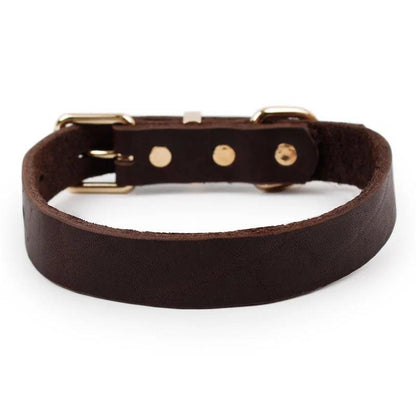 Elegant Leather Pet Collar - MANDOTOS